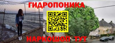 мяу мяу мука Бугуруслан