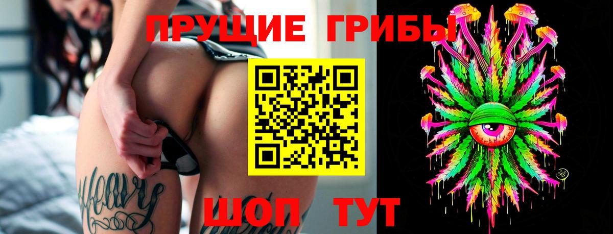 Галлюциногенные грибы прущие грибы Саров