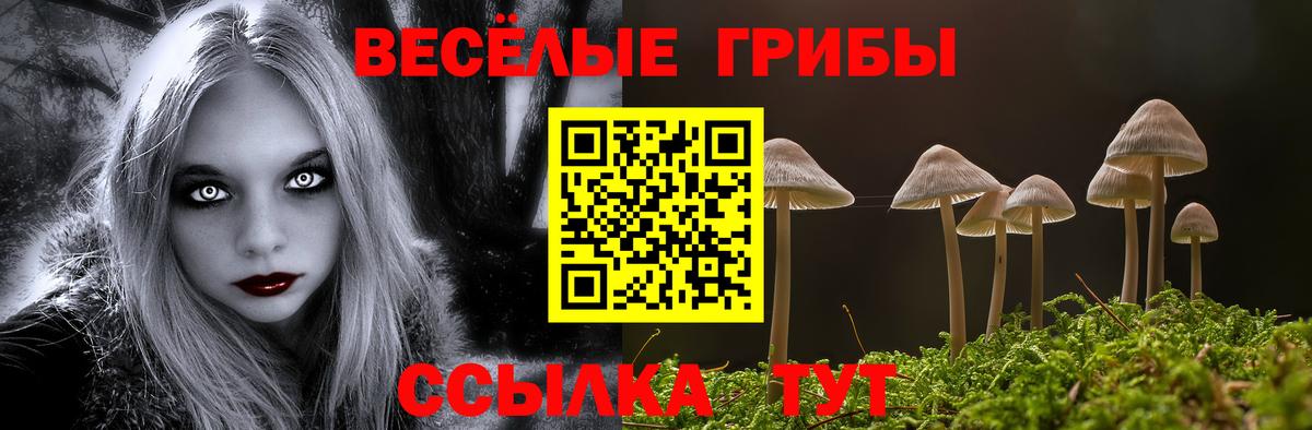 магазин    Вход с VPN  Саров  Псилоцибиновые грибы мухоморы 